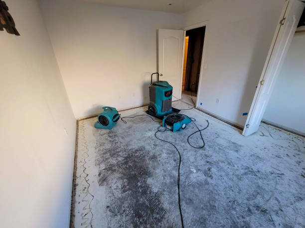 Best Flooded house restoration  in River Ridge, FL