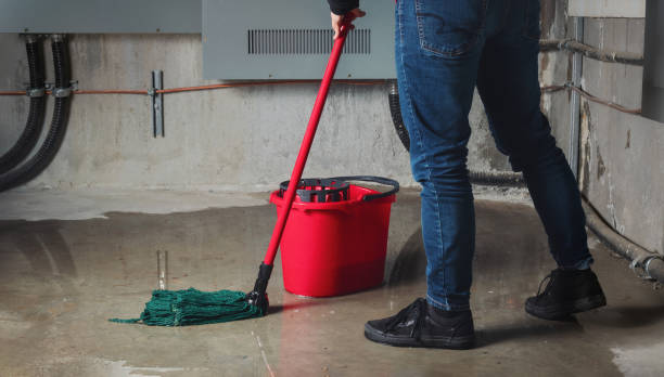 Best Flood restoration services  in River Ridge, FL