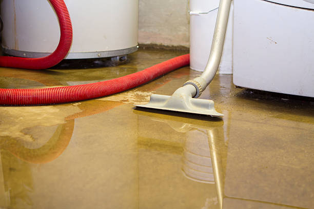 Best Sewage cleanup and water damage restoration  in River Ridge, FL