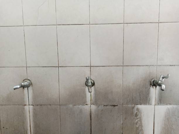 Best Water damage repair service  in River Ridge, FL