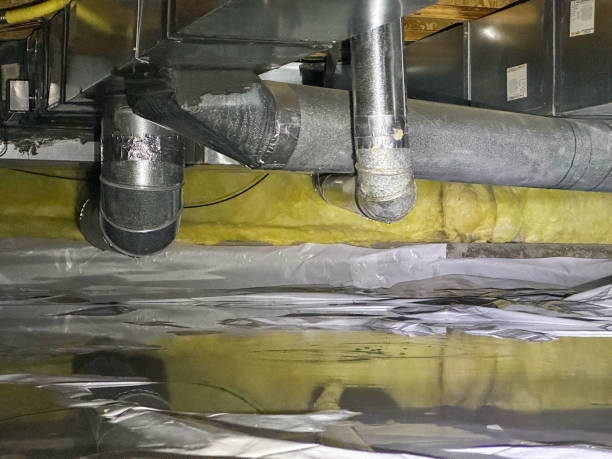 Best Residential water damage restoration  in River Ridge, FL