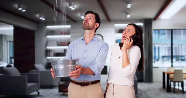 Professional Water damage restoration in River Ridge, FL