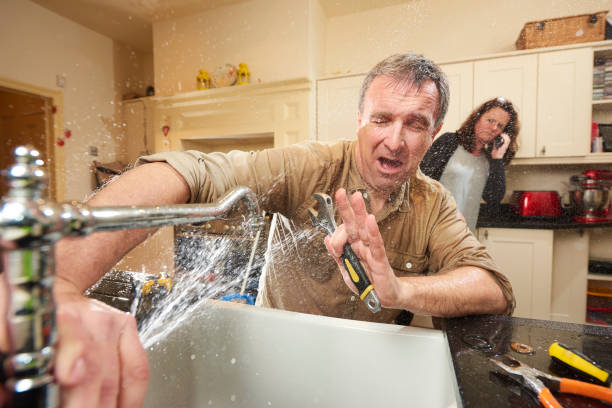 Best Basement water damage restoration  in River Ridge, FL